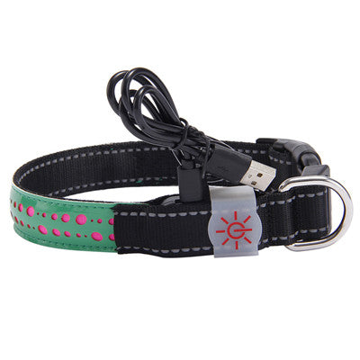 Furera Luxe Leather Pet Collar