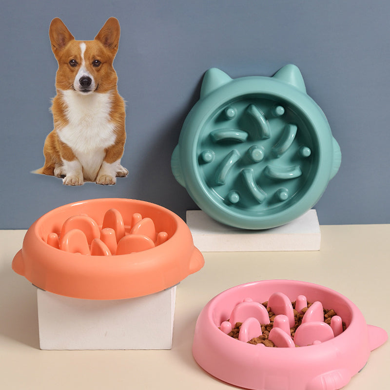 Furera Dog Starter Kit